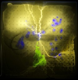 Fused glass, phosphors, inert gas, electricity
12"w x 1"d x 15"h plasma light art wayne strattman
