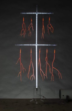 Flameworked borosilicate glass, inert gas, electricity
18"w x 4"d x 36"h plasma light art wayne strattman