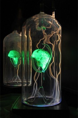 Flameworked borosilicate glass, inert gas, phosphors, ceramic fiber, electricity
10"w x 10"d x 24"h plasma light art wayne strattman