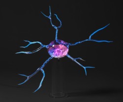 Flameworked borosilicate glass, phosphors, inert gas, electricity
30"w x 30"d x 9"h plasma light art wayne strattman